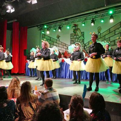 Karneval in Naumburg - Inthronisierung von Prinzessin Nadine I.