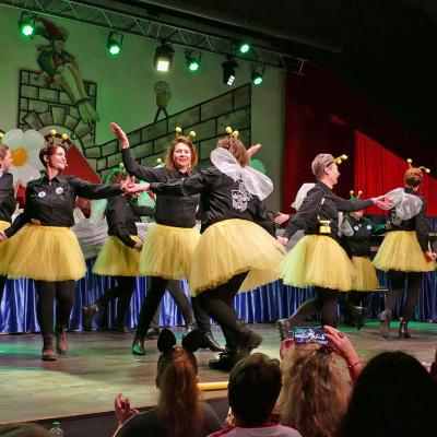 Karneval in Naumburg - Inthronisierung von Prinzessin Nadine I.