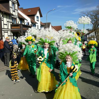 Rosenmontagsumzug in Naumburg 2025