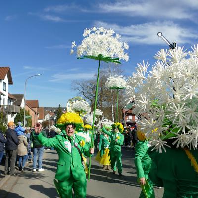 Rosenmontagsumzug in Naumburg 2025