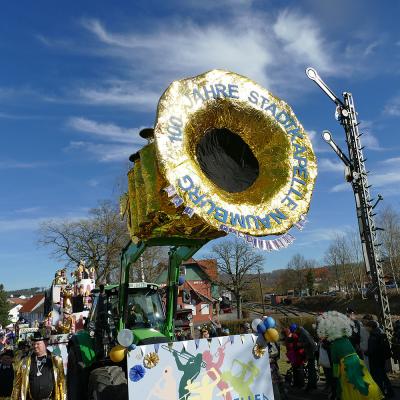 Rosenmontagsumzug in Naumburg 2025