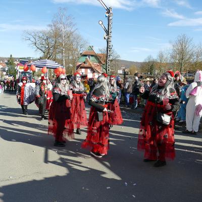 Rosenmontagsumzug in Naumburg 2025