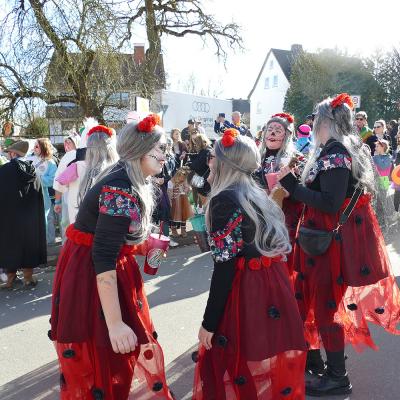Rosenmontagsumzug in Naumburg 2025