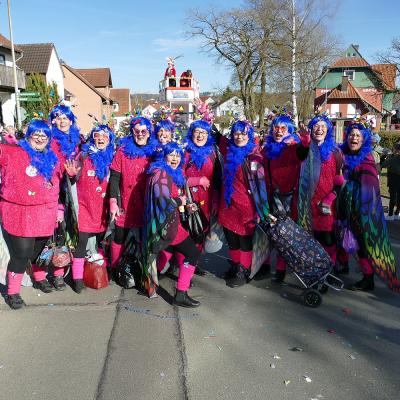 Rosenmontagsumzug in Naumburg 2025
