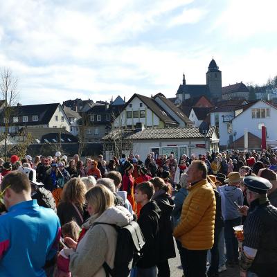 Rosenmontagsumzug in Naumburg 2025