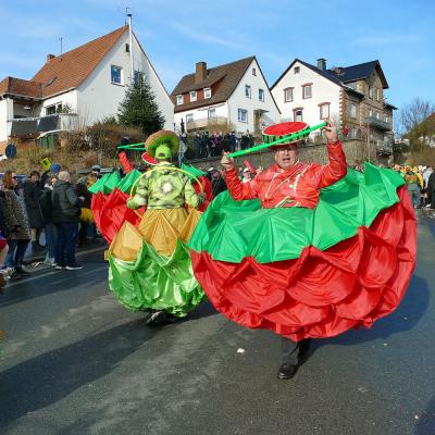 Impressionen vom Rosenmontagsumzug 2026 in Naumburg