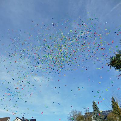Impressionen vom Rosenmontagsumzug 2026 in Naumburg